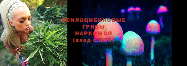 прущий лед Алексеевка