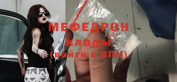 сатива Няндома